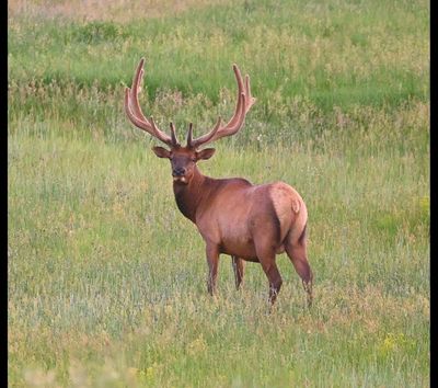 Colorado Trip, July 2023