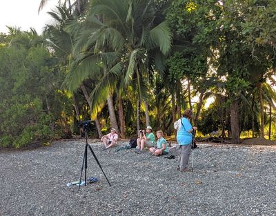 Watching birds from the Pacific Ocean beach in southern Costa Rica: Ann, Carolyn, one of the NY group, and Mary. Feb 19, 2020.