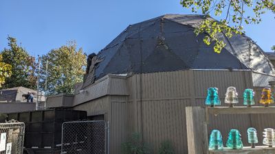 PXL_20231018_145512210.jpg