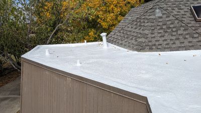 I got out the extension ladder again and took some more photos after they'd finished.