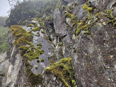 20240304_105417b.jpg
