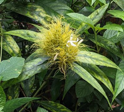 PXL_20240305_153625765b.jpg