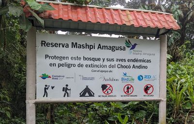 Protect the forest and the endemic birds in danger of extinction.