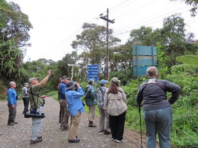 We were listening to an Azara's Spinetail that was calling from the bushes, but never wanted to show itself.