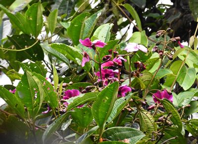 DSC_5043b.jpg