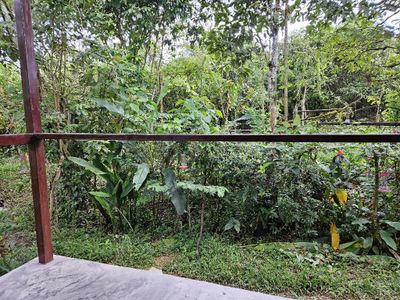Part of the view of feeders from the deck at Sendero Frutty Tour Finca