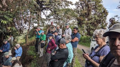 There were a couple of other smaller groups with us to see the birds.
