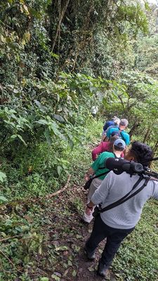 When we got the 'go' signal, we started down the steep trail to see the Giant Antpitta. 
From the top: Andy, Nadine, Rebecca, Ross, Dawn, Jerry, Jimmy