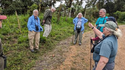 It was a long hike down and back, but everyone made it and saw the Giant Antpitta. Then we all discussed the trek and the bird while we waited for Carlos to bring the bus.