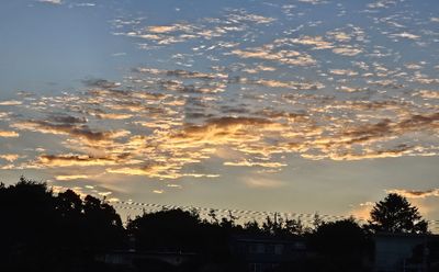 FRIDAY, OCT 25, 2024
Mary got out early and took a picture, from our 3rd floor landing, of the clouds in the east, just before sunrise.