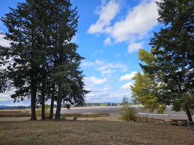 Our next stop was the Peninsula Park at Fern Ridge Wildlife Area, where the water was very low.