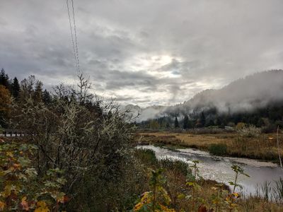 This is the view north along the river.