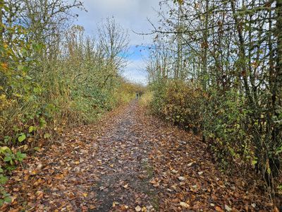 We spent the night in Springfield, on the east side of Eugene, and made one more brief stop to look for birds before heading to the airport. This is the trail we walked.