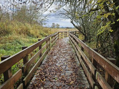 A leaf-strewn boardwalk.