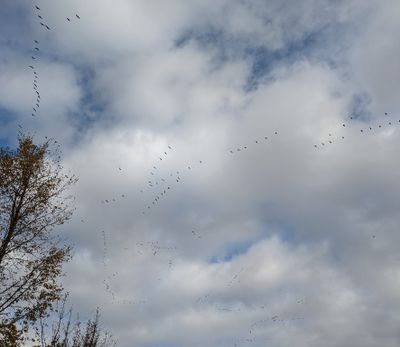 g13/05/982805/3/175009873.e324e90e.JPEG