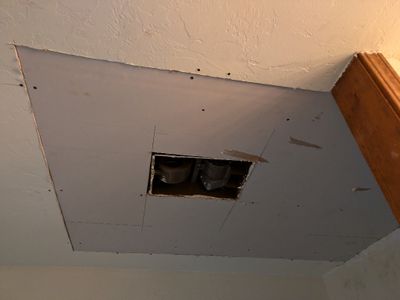 PXL_20241017_163522635.MP.jpg