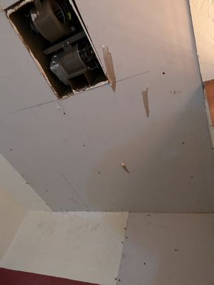 PXL_20241017_163535609.MP.jpg