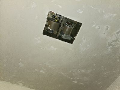 20241017_131206.jpg