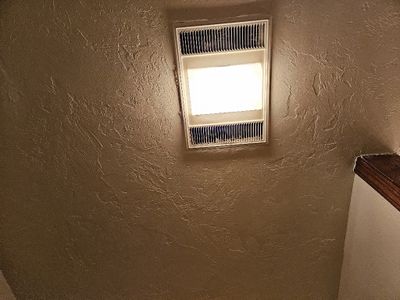 20241017_153105.jpg