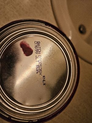 20241017_161654.jpg