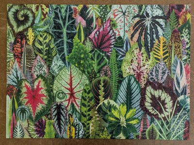While they worked outside in the cold, I worked inside to finish the 'Houseplant Jungle' jigsaw puzzle we got for Christmas.
