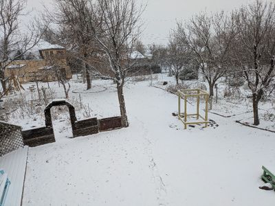 PXL_20250109_215216176.MP.jpg