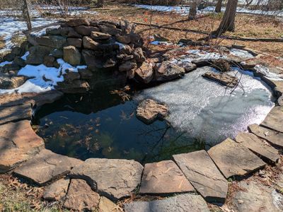 The pond is deep enough for the fish to survive the winter on their own.