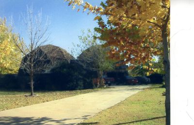 Looking SE from the NE corner of the front yard. Sycamore tree in the R foreground, hickory tree (which we thought was a non-bearing pecan for decades) to the E of the driveway. Before the 'pecan tree' bed or the 'boat' bed were created in the front yard. Little red Ford Ranger, Mary's 1997 Toyota Camry and my 1992 Honda Civic.