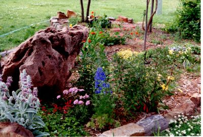 Start Book4: What we now call the flat feeder bed, with George's sandstone rock, cherry tree in back and pecan tree (R) that Mary's fellow student and co-worker Cynthia Murray gave us, along with a broom and dust pan. June 1997