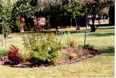 End Book4: Moon bed, in back yard, with Russian olive and other trees behind (NW)