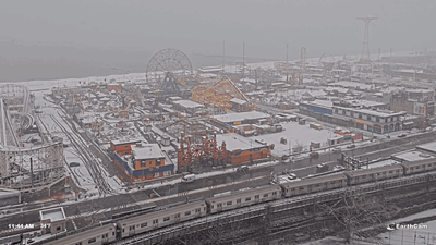 coney021324gifb.gif