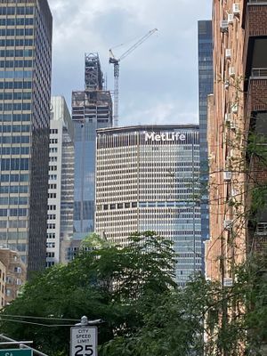 IMG_7481.JPG