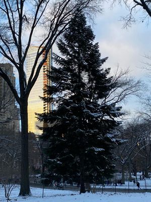 IMG_6250.JPG