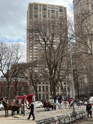 IMG_8364.JPG