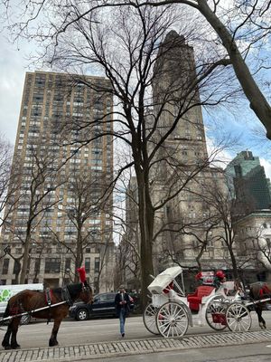 IMG_8368.JPG