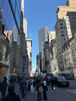 IMG_8387.JPG