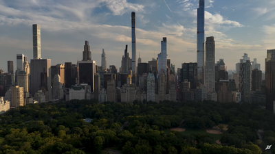 DronalistCentralPark (3).png
