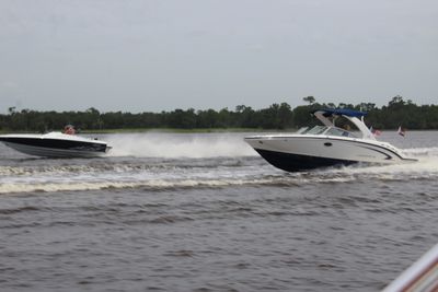 g13/06/1038506/3/173817587.6cdf8d12.JPEG
