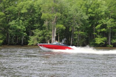 g13/06/1038506/3/174527661.ebba1279.JPEG