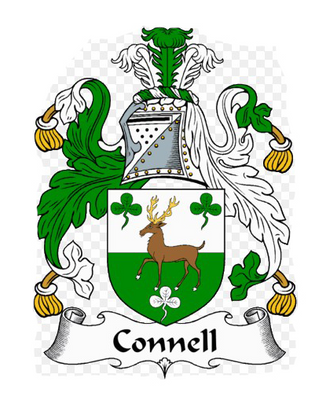 Ireland - Dingle Town & Dingle Peninsula