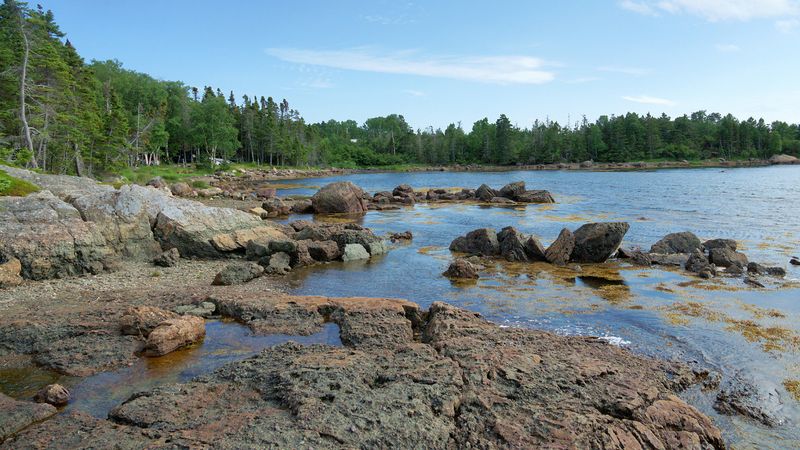 DSC06691 - The Beach I Frequented as a Boy