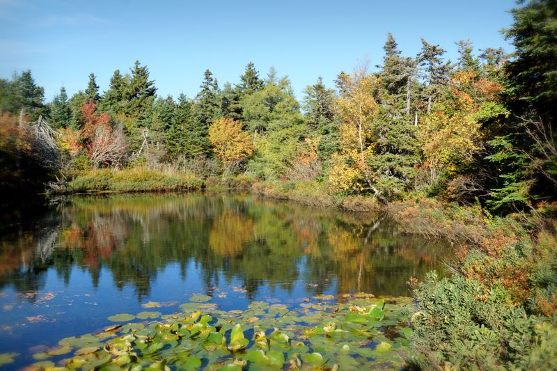 Newfoundland Seascapes and Landscapes