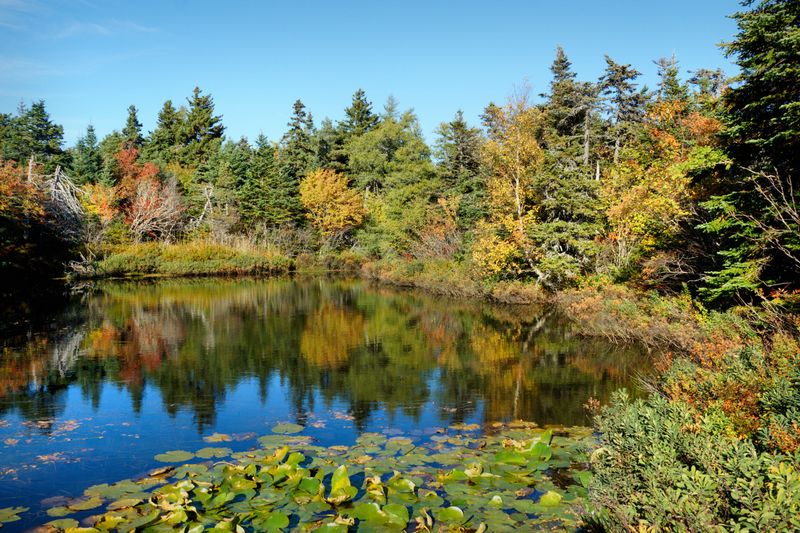 Newfoundland Seascapes and Landscapes