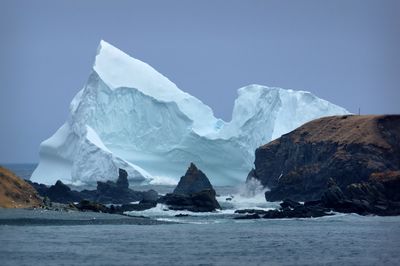 DSC07683- Ferryland Berg II