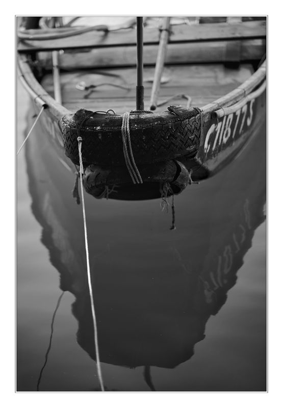 IMG_2694.jpeg