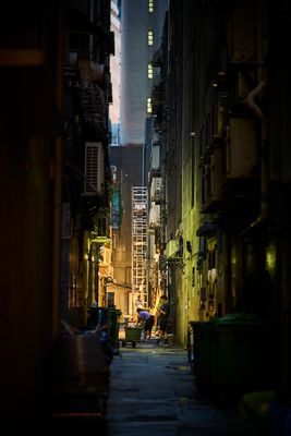 _NZF4254.jpg