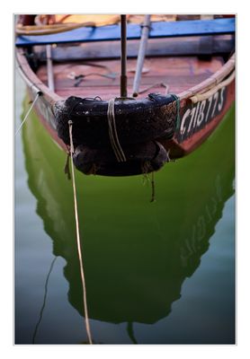 IMG_2695.jpeg