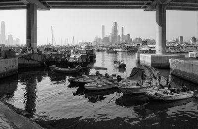 IMG_8976.jpeg