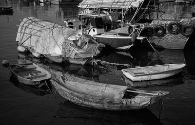 IMG_8979.jpeg
