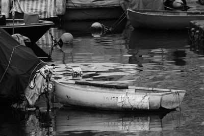 IMG_1625.jpeg